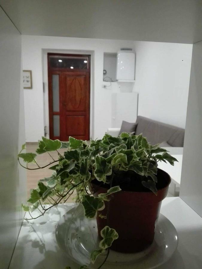Al Centro Di Cagliari Lägenhet Exteriör bild
